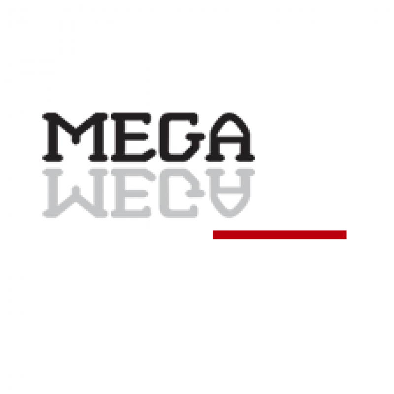 MEGA DANIŞMANLIK TEMSİLCİLİK DIŞ TİC AŞ.